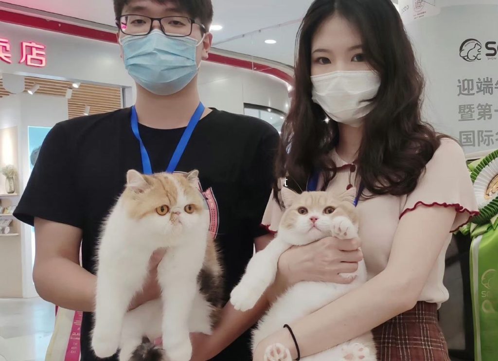 图片[3]_童锦程私生子事件女主角底细曝光露脸直播又曝内幕_吃瓜站_网红黑料丨极品美女